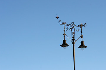 Image showing lamp post and pigeon