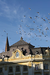 Image showing old bulding and flying pigeons
