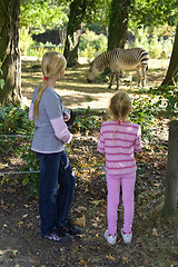 Image showing In the zoo