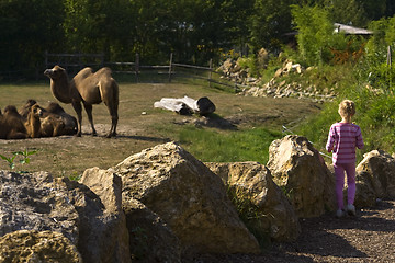 Image showing In the zoo