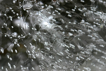 Image showing bubble in ice