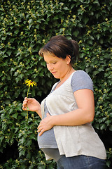 Image showing Pregnant woman holding her belly and yellow flower