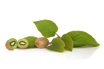 Image showing Kiwi Fruit