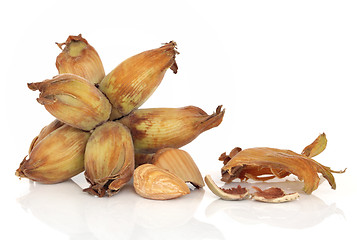 Image showing Hazelnuts