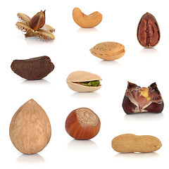 Image showing  Nut Collection