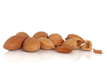 Image showing Almond Nuts