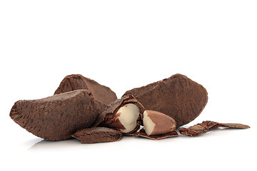 Image showing Brazil Nuts