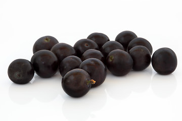 Image showing Blueberry Fruit