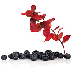 Image showing Blueberry fruit