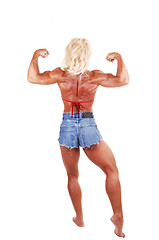 Image showing Bodybuilding woman.