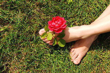 Image showing Woman feet with rose.