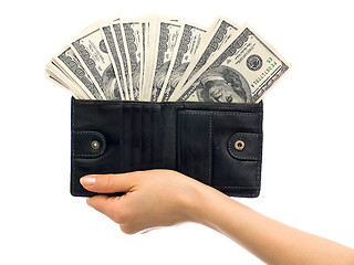 Image showing Dollars in a wallet