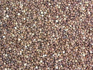 Image showing Buckwheat groats