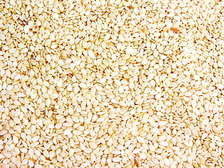 Image showing Grains, seeds