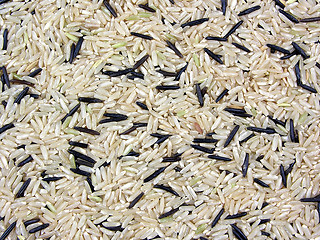 Image showing rice