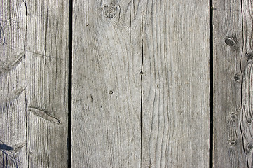 Image showing Wood wall