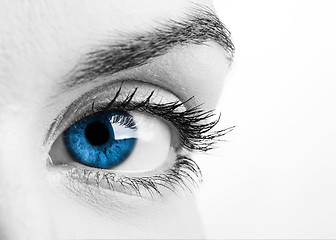 Image showing Blue eye