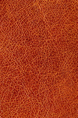 Image showing textured  leathe