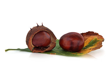 Image showing Chestnuts