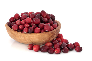 Image showing Cranberries