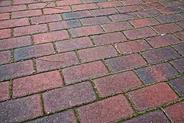 Image showing Pavement