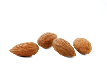 Image showing Almond