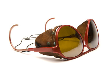 Image showing glacier sunglasses glasses with leather side pieces and strap