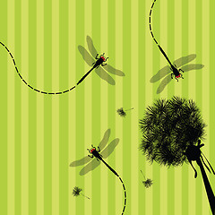 Image showing Dandelion and dragonfly