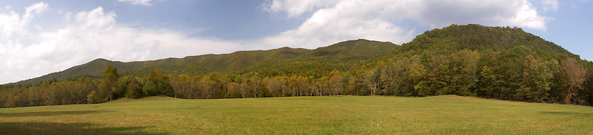 Image showing A place to breathe