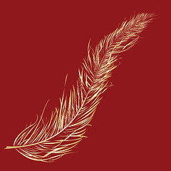 Image showing Gold feather 