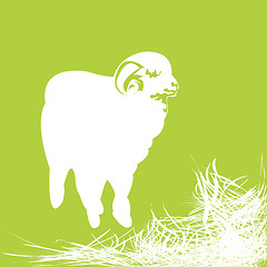 Image showing Sheep