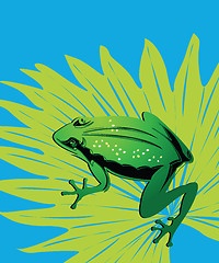 Image showing Green frog