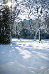 Image showing Winter scene