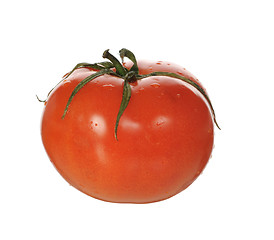 Image showing red tomato