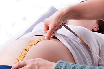 Image showing Measuring a Pregnant Belly