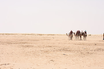 Image showing camels and sahara