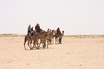Image showing camels and sahara