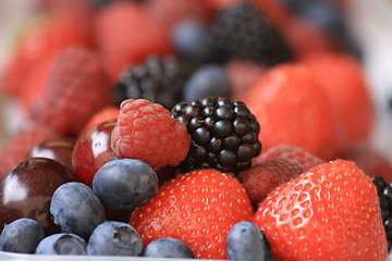 Image showing forest fruits