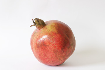 Image showing Whole Pomegranate