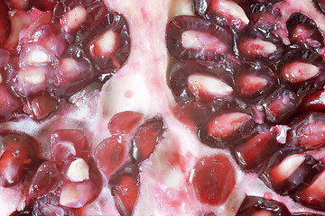 Image showing Pomegranate