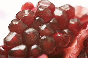 Image showing Pomegranate Fruit