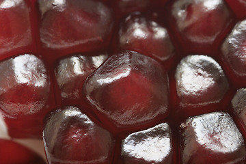 Image showing Pomegranate Fruit Abstract