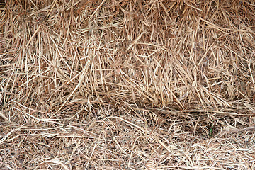 Image showing straw background