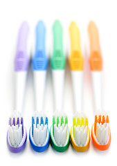 Image showing Toothbrushes