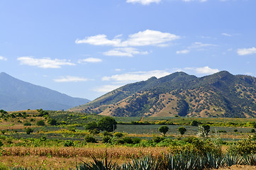 Image showing Landscape in Jalisco,  Mexico