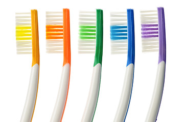 Image showing Toothbrushes