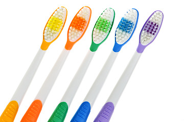 Image showing Toothbrushes