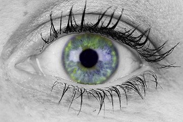 Image showing Colorful Eye