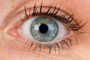 Image showing Closeup of an eye