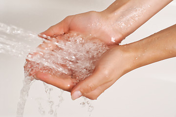 Image showing Hands under a stream of shower